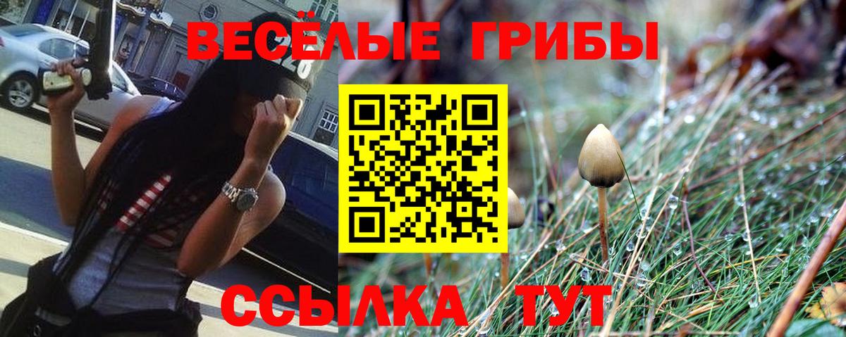 Галлюциногенные грибы ЛСД  Вход с VPN  Псилоцибиновые грибы Psilocybe  Сальск 